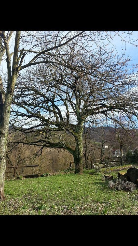 B&B Cascina Santa Gavi Exterior foto